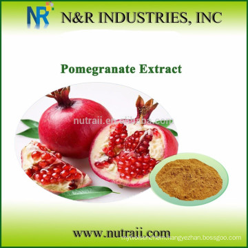 Reliable supplier bulk cold pressed Pomegranate Seed Oil